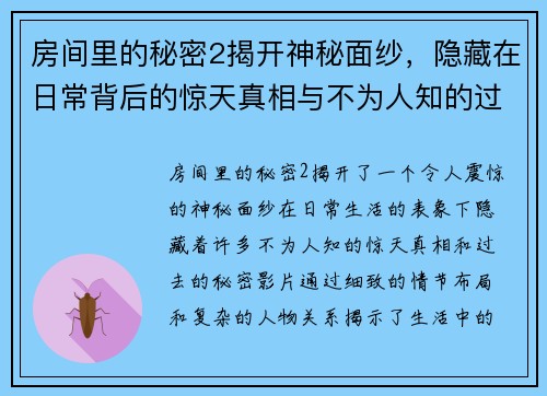 房间里的秘密2揭开神秘面纱，隐藏在日常背后的惊天真相与不为人知的过去